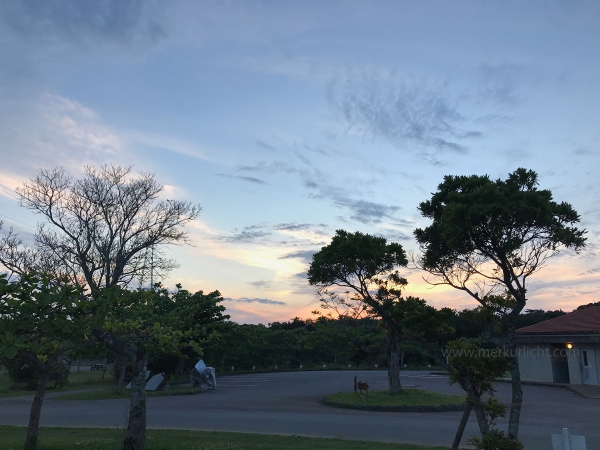 日本一周-35日目