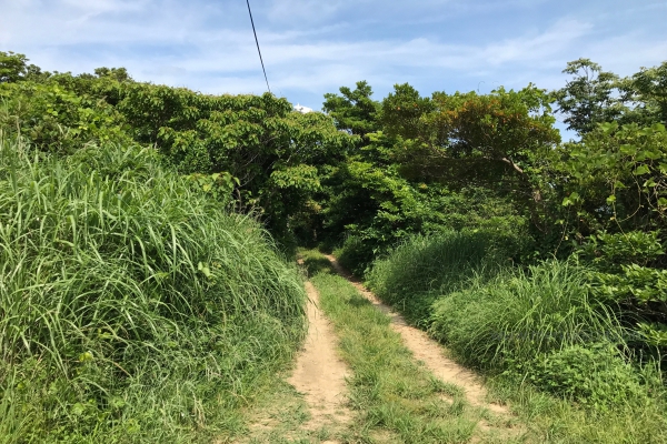 日本一周-39日目