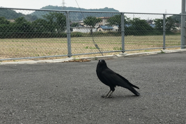 日本一周-48日目